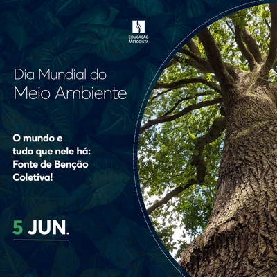 Dia Mundial do Meio Ambiente - O mundo e tudo o que nele há... Fonte de benção coletiva!